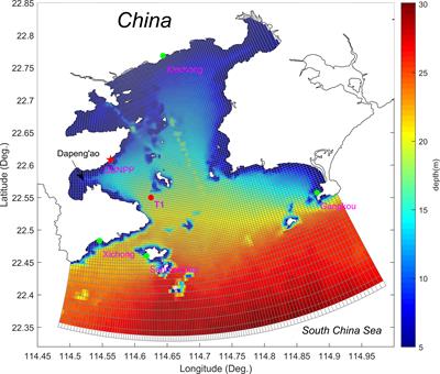 Three-dimensional numerical study of cooling water discharge of Daya Bay Nuclear Power Plant in southern coast of China during summer